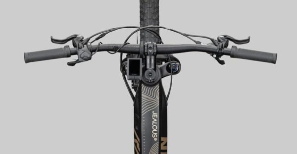Radon Jealous Hybrid 9.0 625 – Bild 5