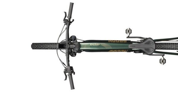 Radon Jealous Hybrid 9.0 750 – Bild 2