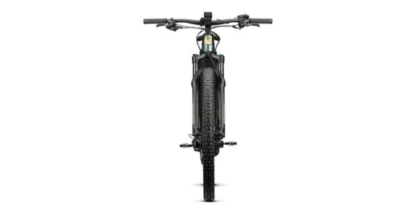 Radon Jealous Hybrid 9.0 750 – Bild 3