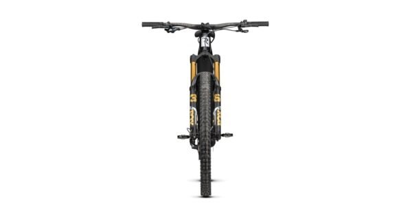 Radon RENDER 10.0 750 – Bild 9