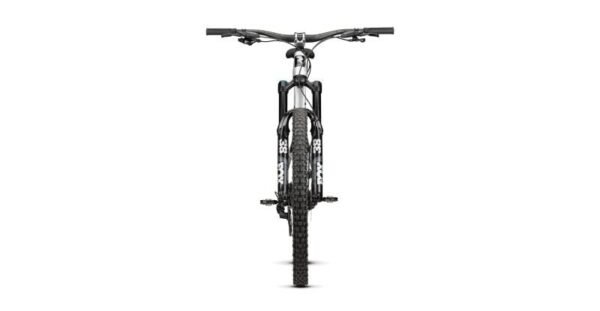 Radon SWOOP AL 9.0 – Bild 2
