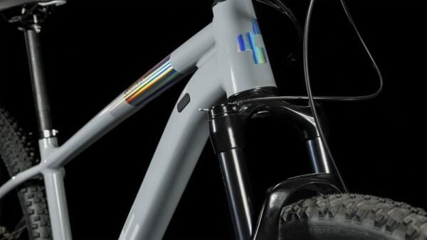 Cube Access WS SLX grey´n´silver – Bild 8