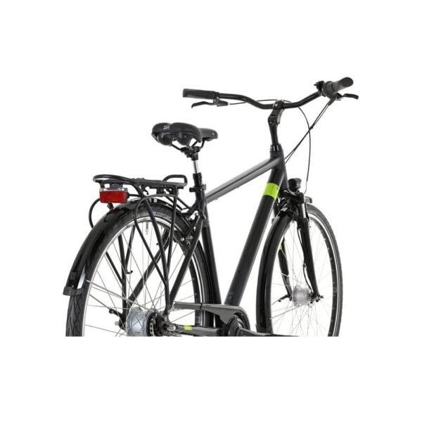 Carver Cityzen 120 - 2024 - 28 Zoll - Diamant – Bild 6
