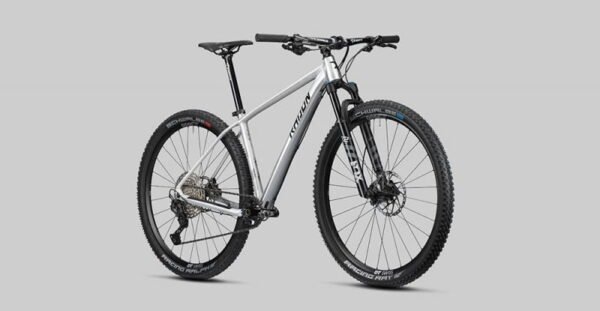 Radon Jealous AL 10.0 – Bild 4